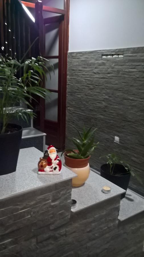 Djurdja Apartment 阿然德洛维克 外观 照片